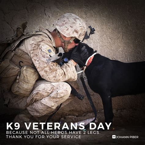 K9 VETERANS DAY Because not all heros have 2 legs. Thank you for your service ⠀⠀⠀⠀⠀⠀⠀⠀⠀ National ...