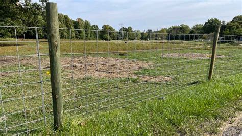 Cattle Panels, Hog Panels and Feedlot Panels