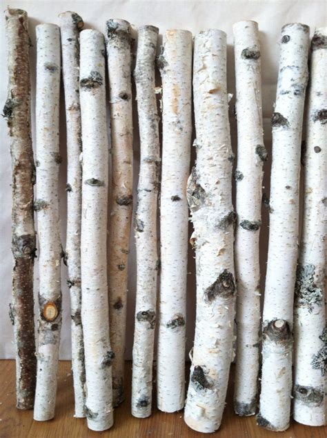 20 white birch logs | Etsy | Birch tree decor, Birch logs, Birch craft