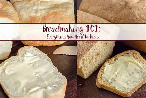 Bread Making 101: How to Make Bread, Everything You Need to Know