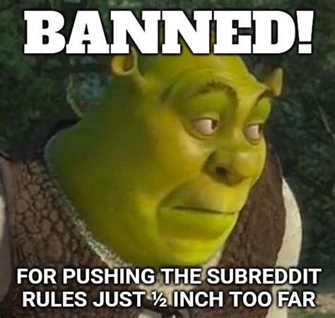 August 2023 r/memes Theme Week: Shrek Memes! : r/memes