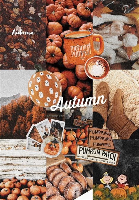 Aesthetic For Thanksgiving Wallpapers - Wallpaper Cave