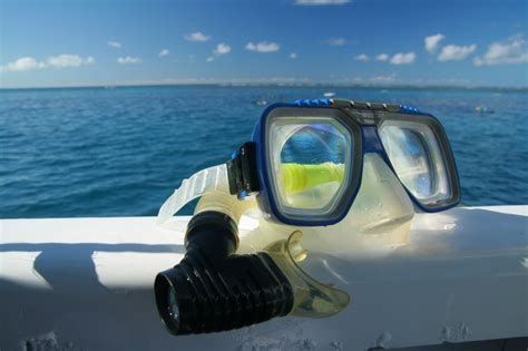 Beginners guide to scuba diving gear