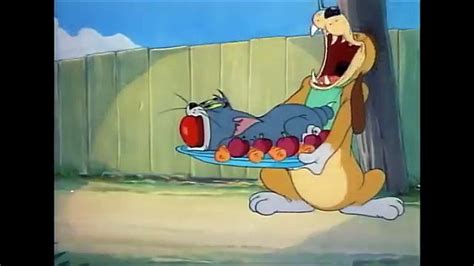 mundo justa oração tom and jerry the truce hurts Para fora Fração ...