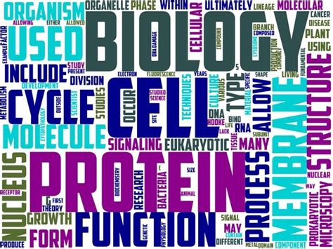 Cell Biology Wordart Sublimation Graphic by walterktaranto · Creative Fabrica