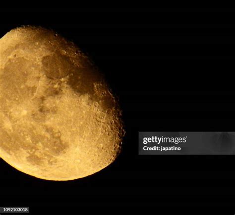 220 High Tide Moon Stock Photos, High-Res Pictures, and Images - Getty Images