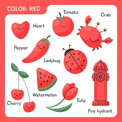 Free Vector | Red objects and vocabulary words in english