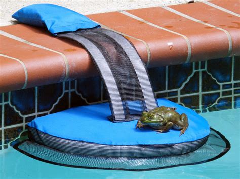 FrogLog® Critter Saving Escape Ramp - The Original! | The Land Down Under