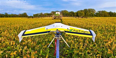 Drones are dropping enemy bugs on harmful insects - DroneDJ