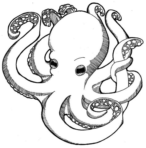 Free Printable Octopus Coloring Pages For Kids