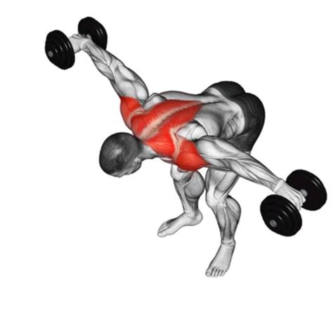 Reverse Dumbbell Fly by Richard Terry Jr - Exercise How-to - Skimble