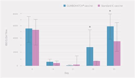 Improvements in Gumboro disease with immune complex vaccines