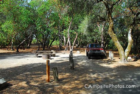 Henry Cowell Redwoods State Park - Campsite Photos & Reservations