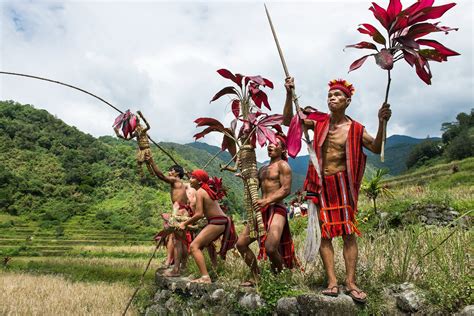 Punnuk Rice Harvest Ritual – Ifugao | Jacob Maentz