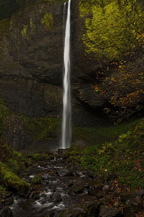 Latourell Falls in the Columbia River Gorge Photograph by James Little