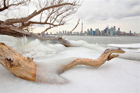 Toronto's waterfront is getting a free winter ice exhibit (PHOTOS) | Listed