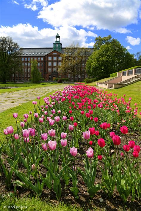 Norwegian University of Life Sciences | University life, Norway, Life science