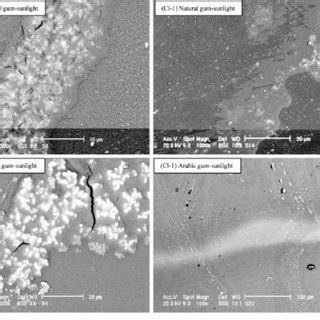 Optical microscope images of clearcoat (Cl-1 and Cl-2) surfaces exposed... | Download Scientific ...