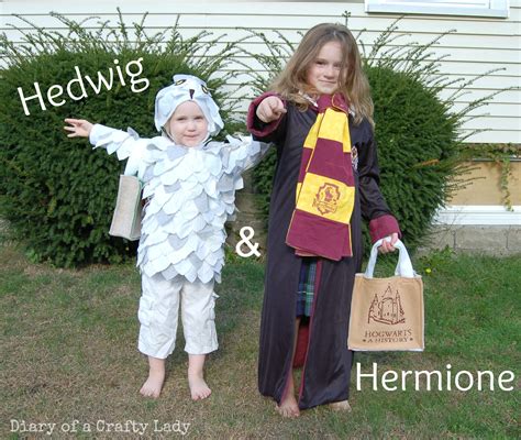 Diary of a Crafty Lady: Harry Potter Halloween Costumes!