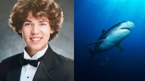 Shark Expert Says This is What Cameron Robbins' Last Moments Would Have ...