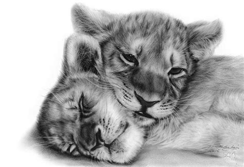 Two Lion Cubs Painting by Danguole Serstinskaja