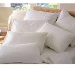 Anti Dust Mite Pillow Covers Manufacturer from Mumbai