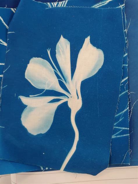 Try This: Cyanotype Prints