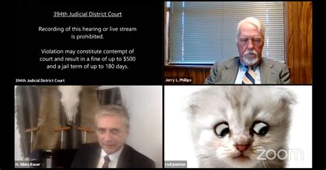 Lawyer Accidentally Uses Cat Camera Filter During Zoom Court Session ...