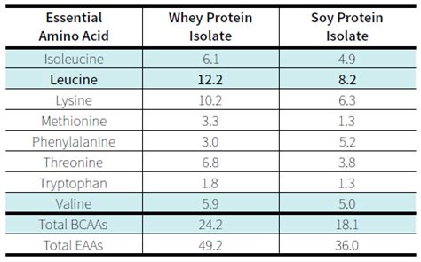 Project Body Smart | Whey vs soy protein: