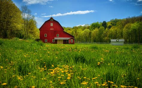 Summer Countryside Wallpapers - Top Free Summer Countryside Backgrounds - WallpaperAccess