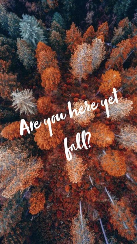 #fall #autumn #fallwallpaper #autumnwallpaper #fallbackground # ...