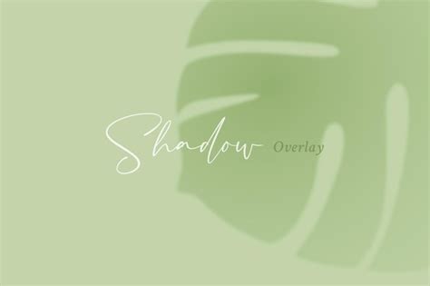 Premium Vector | Shadow Overlay Aesthetic Effect