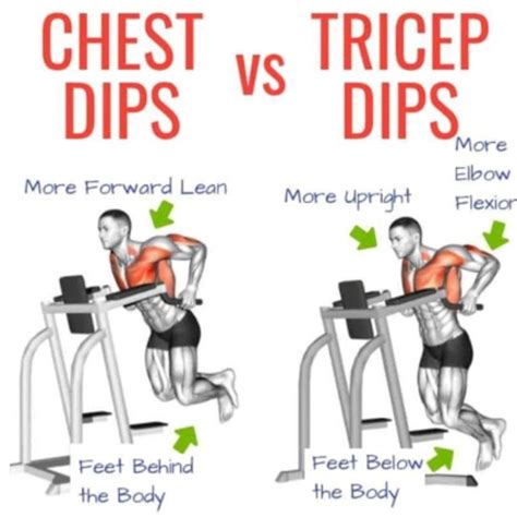 Chest Dips by Richard Terry Jr - Exercise How-to - Skimble