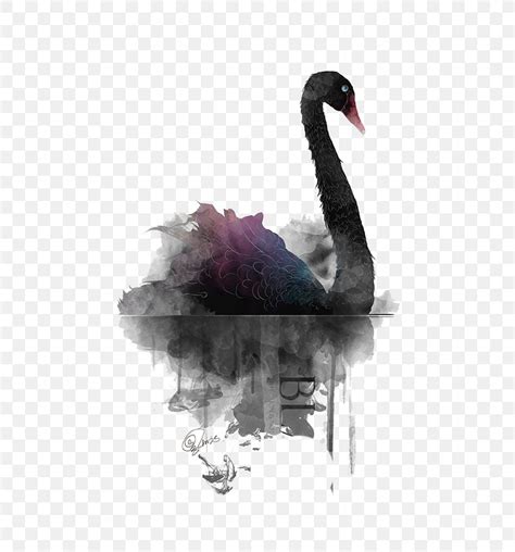 Black Swan Painting, PNG, 658x879px, Black Swan, Animal, Art, Beak ...