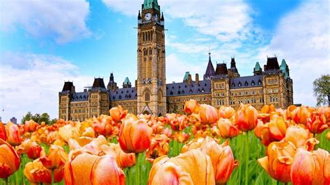 2019 Canadian Tulip Festival draws largest crowd in a decade