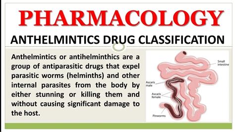 Anthelminthic drugs classification, mechanism of action & Drugs used in the treatment of Cestode ...