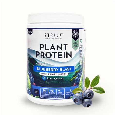 Plant Based Protein for Men & Women with STRIVE