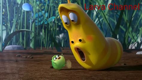 Larva Best Funny Cartoon - YouTube