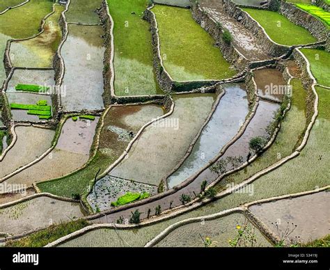 Batad Rice Terraces, Philippines Stock Photo - Alamy