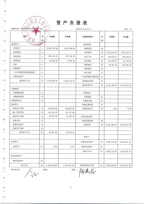 2020年财务报表_深圳经济特区社会工作院