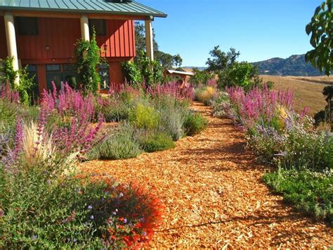 best drought tolerant trees southern california - - Yahoo Image Search Results | California ...