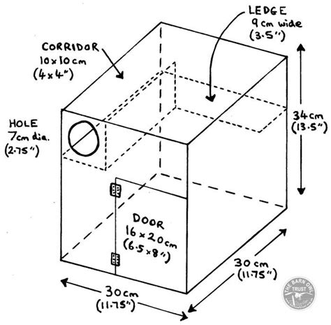 Little Owl nestboxes - The Barn Owl Trust