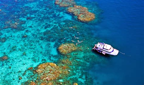 Cairns Reef tours and Dinner Cruise - How to Scuba Dive