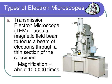 PPT - Microscopy PowerPoint Presentation, free download - ID:833080