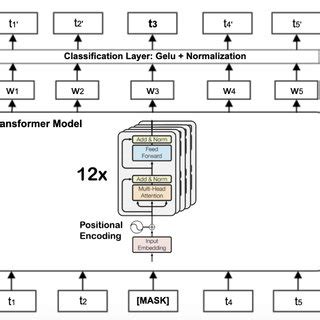 The Transformer based BERT base architecture with twelve encoder blocks ...