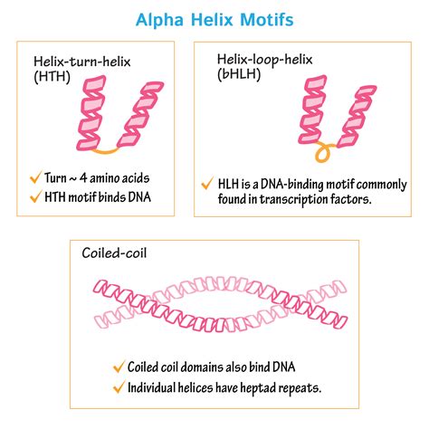 Biochemistry Glossary: Protein Structure Class: 2(c). Super-Secondary Structures | Draw It to ...