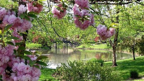 🔥 [70+] Spring Garden Wallpapers | WallpaperSafari