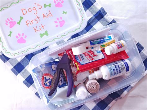 How to Make a DIY First Aid Kit For Your Dog [with video] - DogVills