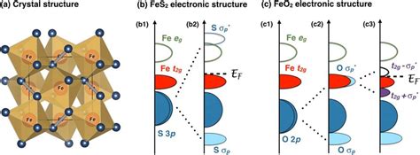 (a) Crystal structure of FeO 2 and FeS 2 can be visualized as a... | Download Scientific Diagram