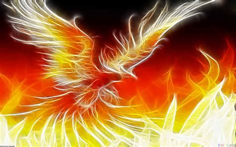 🔥 [46+] Phoenix Wallpapers | WallpaperSafari